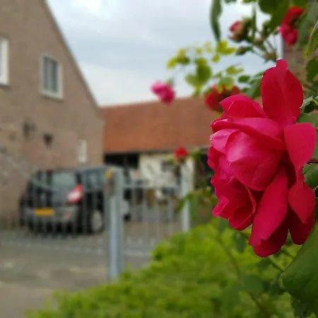 לינה וארוחת בוקר De Boerebeemd