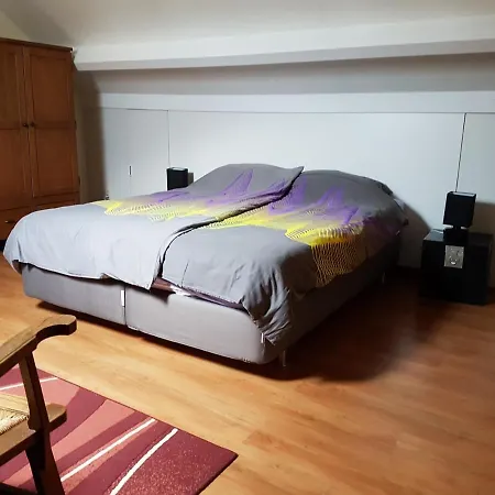 De Boerebeemd לינה וארוחת בוקר 3*